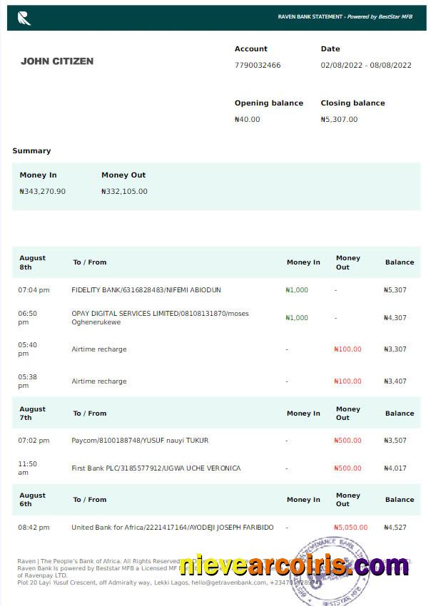 Nigeria Raven Bank statement Word and PDF scr